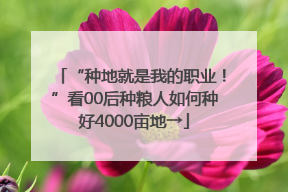 “种地就是我的职业！”看00后种粮人如何种好4000亩地→